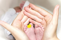 深圳代孕纠纷律师实务专题